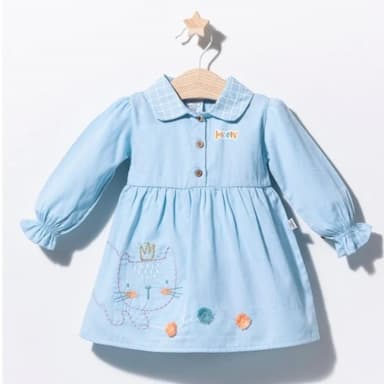 rose embroidered dress - 14.99 usd