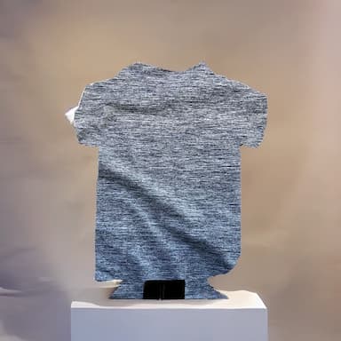 sports wear - 14 usd