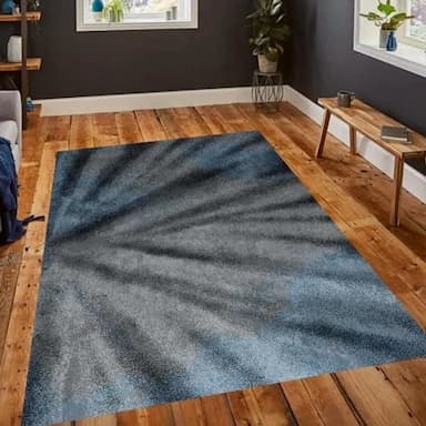 salon rugs - 4 usd