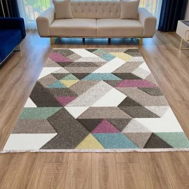 salon rugs - 4 usd