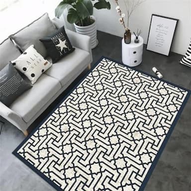 salon rugs - 4 usd