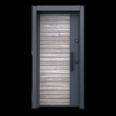 steel door - 99.99 usd