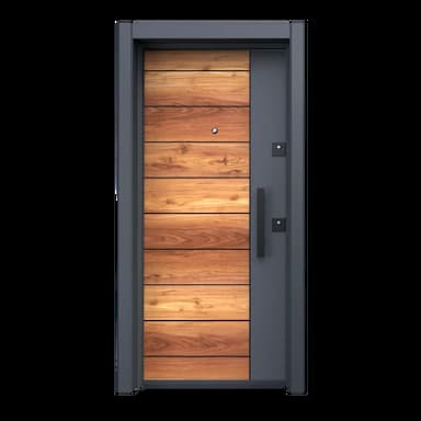 steel door - 99.99 usd