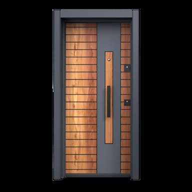 steel door - 99.99 usd
