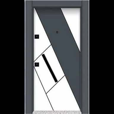 steel door - 99.99 usd