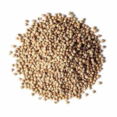 coriander seeds (whole) -  usd
